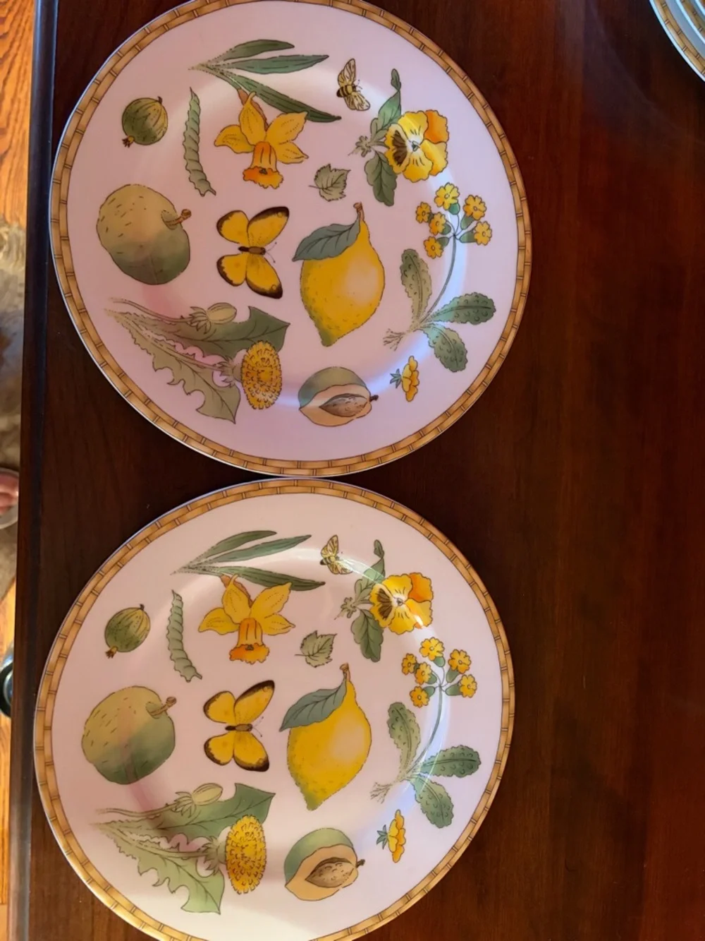 Decorative Crate and Barrel  Fruit & Floral  Plates -